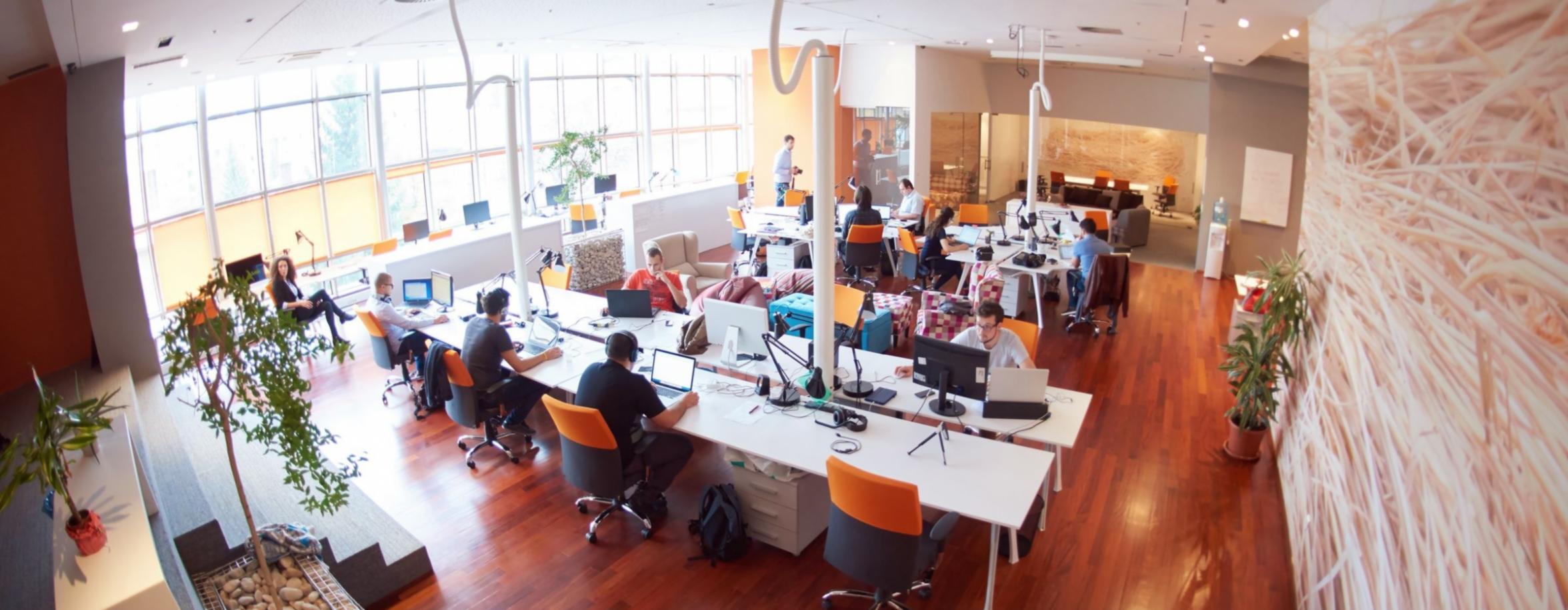 Professional training session with industry partner organization